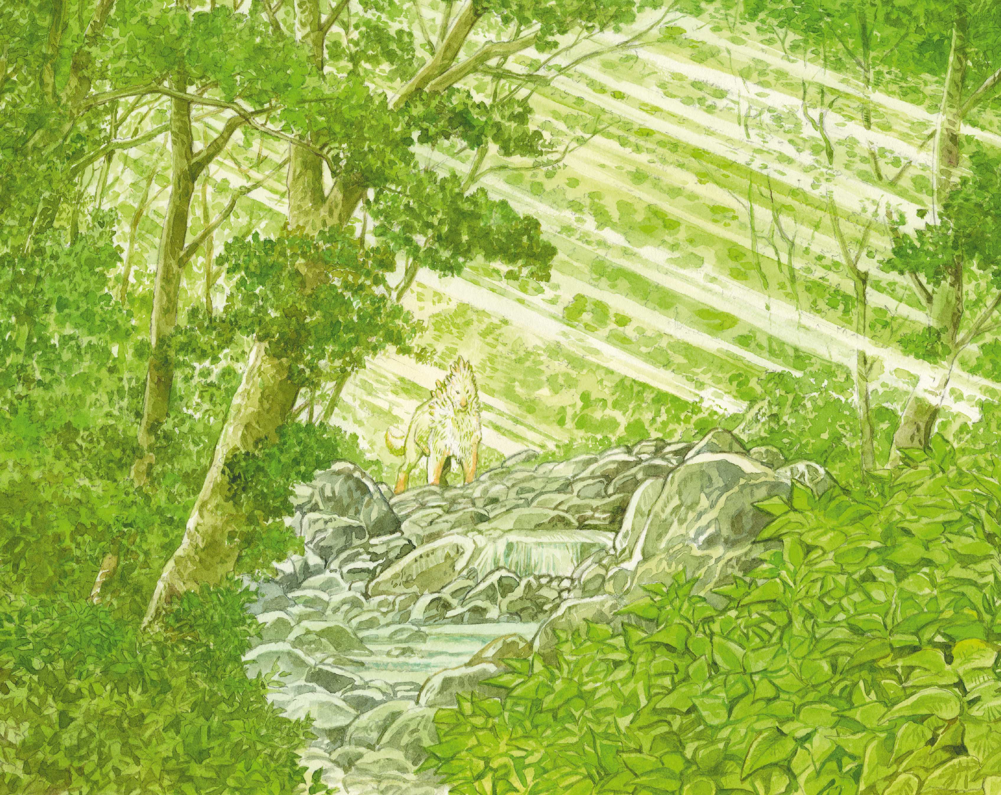 la foret millenaire jiro taniguchi