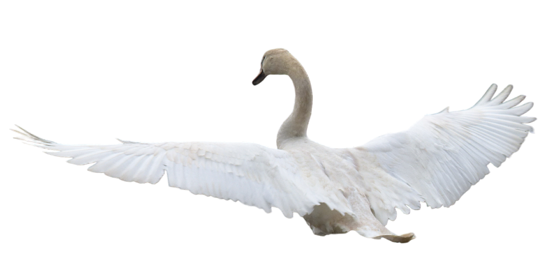 A. K&eacute;r&eacute;bel