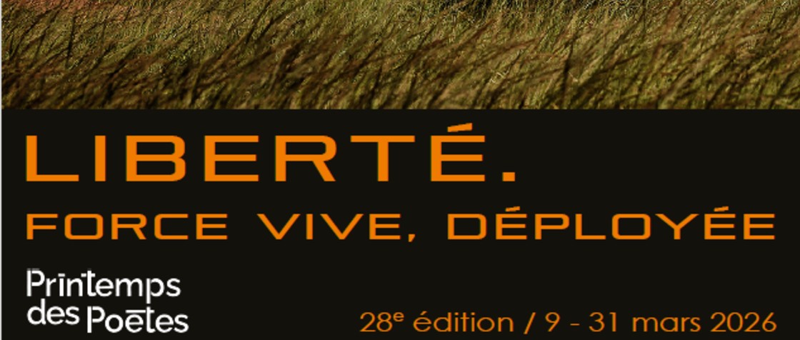 Capture décran 2026 02 13 152327 2