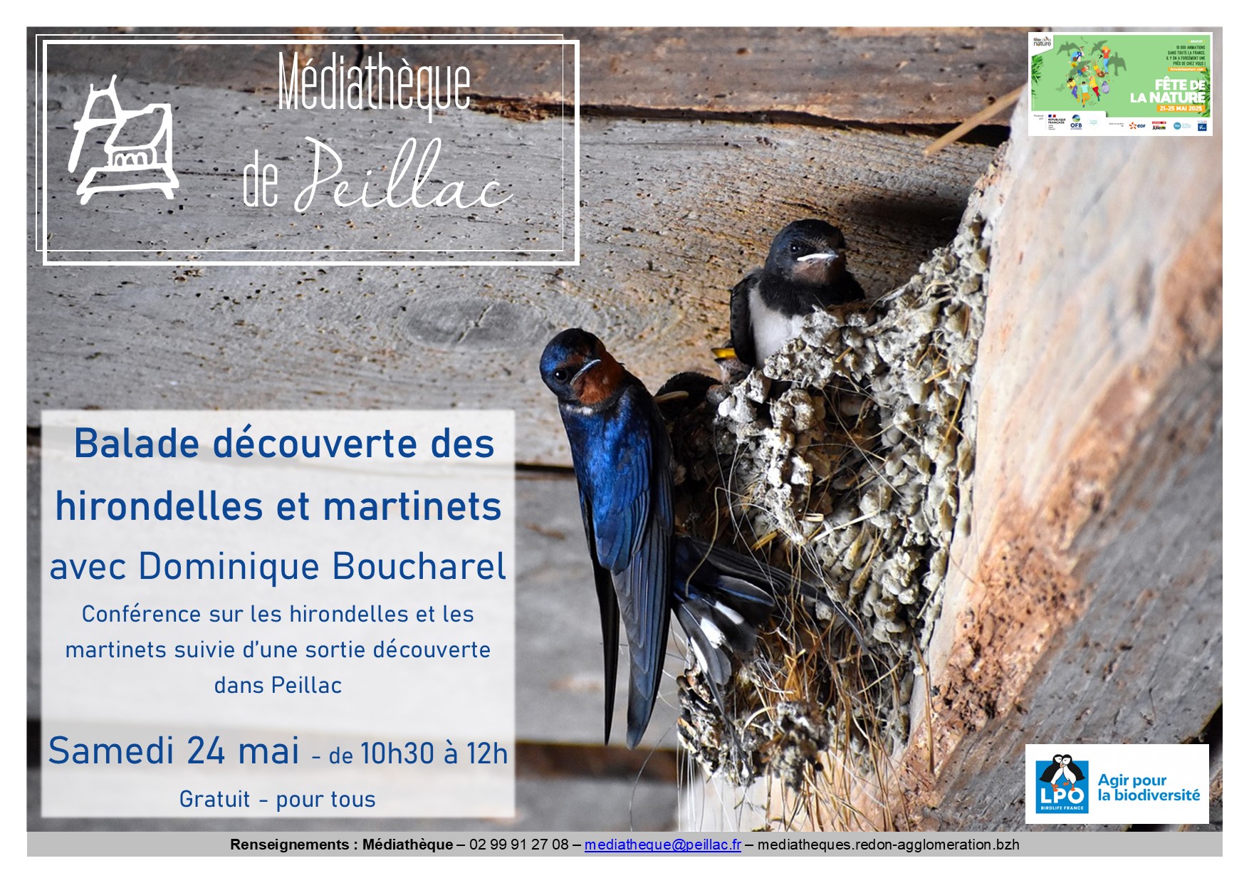 affiche balade hirondelles martinets