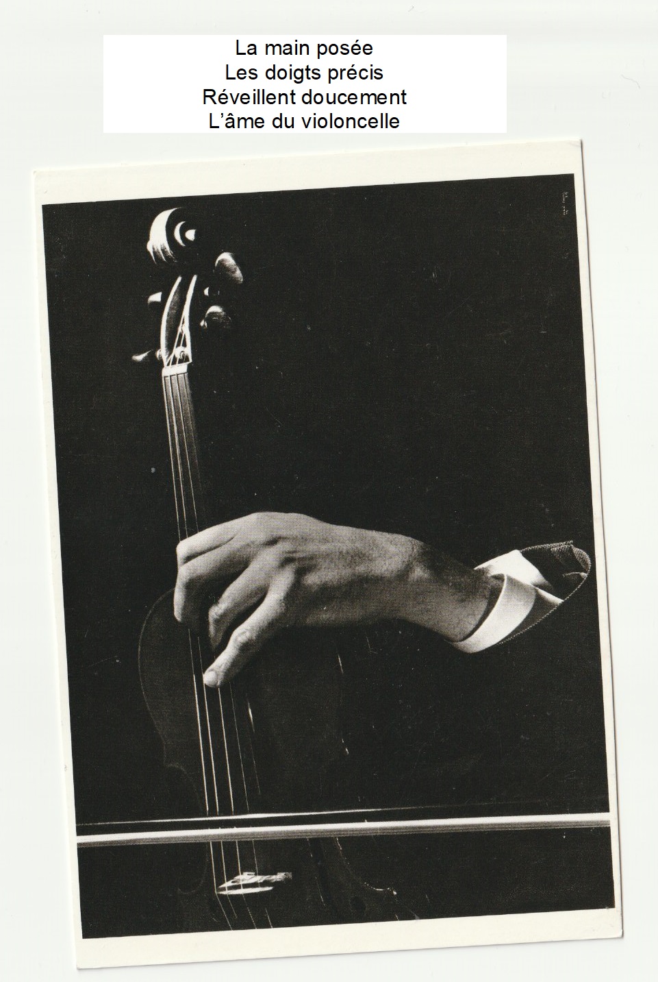 Photo violoncelle portail