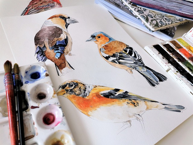 dessin oiseaux
