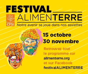banniere fest 300 250 web