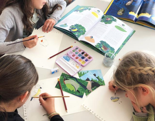 Atelier découvrir les oiseaux
