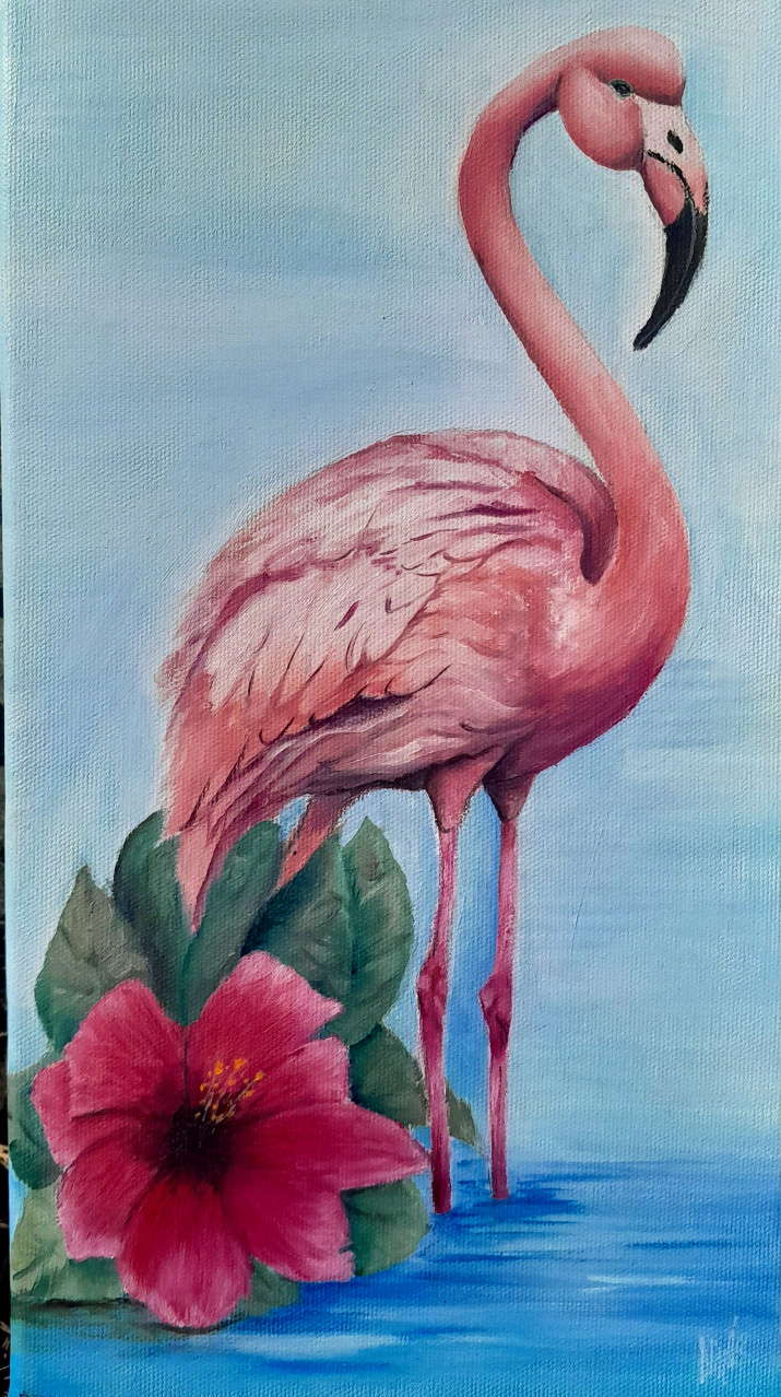 Flamant rose